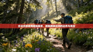 合法合规使用网络服务，理解跨境访问的边界与责任
