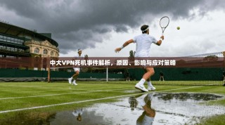 中大VPN死机事件解析，原因、影响与应对策略
