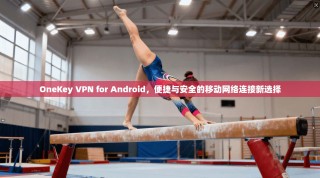 OneKey VPN for Android，便捷与安全的移动网络连接新选择