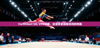 FortiClient SSL VPN详解，企业安全远程访问的利器