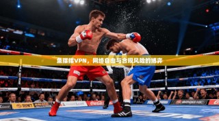 鱼摆摆VPN，网络自由与合规风险的博弈