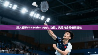 深入解析VPN Melon App，功能、风险与合规使用建议
