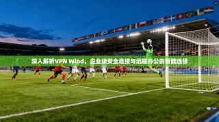 深入解析VPN Wind，企业级安全连接与远程办公的智能选择
