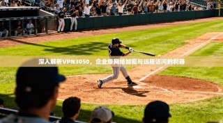 深入解析VPN3050，企业级网络加密与远程访问的利器
