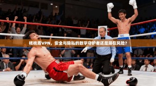 核桃盾VPN，安全与隐私的数字守护者还是潜在风险？