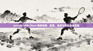 Juniper VPN Client 使用详解，配置、连接与安全最佳实践