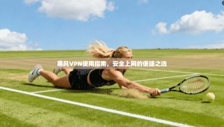 寒风VPN使用指南，安全上网的便捷之选