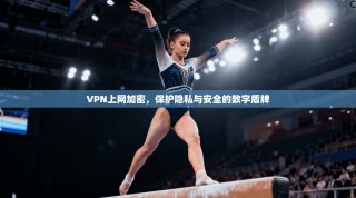 VPN上网加密，保护隐私与安全的数字盾牌
