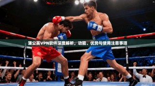 蒲公英VPN软件深度解析，功能、优势与使用注意事项