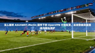 深入解析 ASUSWRT-Merlin 固件下的 OpenVPN 分流配置，实现智能流量路由与隐私保护