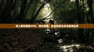 深入解析那种VPN，技术原理、安全风险与合法使用边界