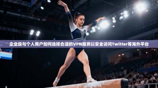 企业级与个人用户如何选择合适的VPN服务以安全访问Twitter等海外平台