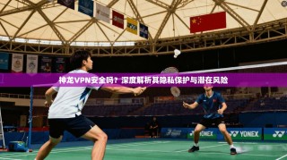 神龙VPN安全吗？深度解析其隐私保护与潜在风险