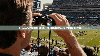 Green VPN价格详解，性价比与隐私保护的权衡之道