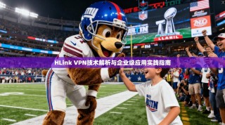 HLink VPN技术解析与企业级应用实践指南