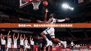 番茄家VPN，便捷与风险并存的网络代理服务解析