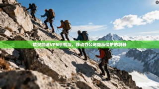 精灵加速VPN手机版，移动办公与隐私保护的利器