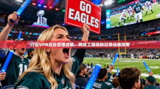 行云VPN后台管理详解，网络工程师的日常运维指南