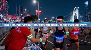 梅普（MAIPU）VPN Key 的配置与安全使用指南，提升企业网络通信安全性