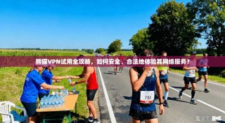 熊猫VPN试用全攻略，如何安全、合法地体验其网络服务？