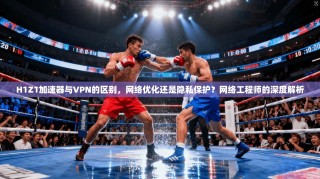 H1Z1加速器与VPN的区别，网络优化还是隐私保护？网络工程师的深度解析