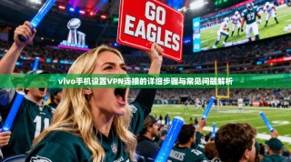 vivo手机设置VPN连接的详细步骤与常见问题解析