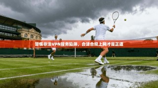 警惕非法VPN服务陷阱，合法合规上网才是正道