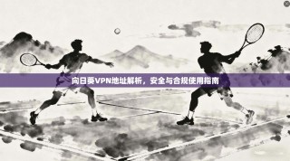 向日葵VPN地址解析，安全与合规使用指南