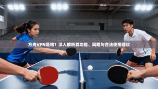 方舟VPN是啥？深入解析其功能、风险与合法使用建议