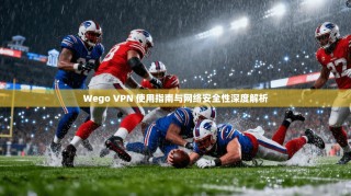 Wego VPN 使用指南与网络安全性深度解析
