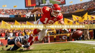 电子科技大学校园网安全升级，VPN服务优化与师生访问体验提升