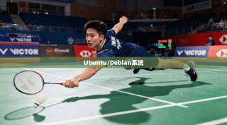 Ubuntu/Debian系统