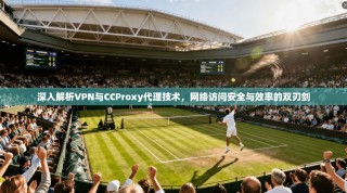 深入解析VPN与CCProxy代理技术，网络访问安全与效率的双刃剑