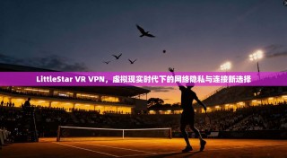 LittleStar VR VPN，虚拟现实时代下的网络隐私与连接新选择