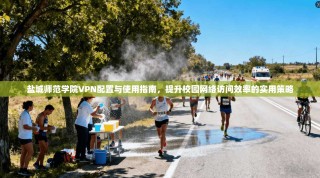盐城师范学院VPN配置与使用指南，提升校园网络访问效率的实用策略
