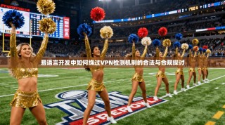 易语言开发中如何绕过VPN检测机制的合法与合规探讨