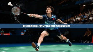 如何查看电脑上的VPN连接状态与配置信息