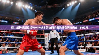 深入解析流量监控与VPN技术的协同机制及其在网络安全中的应用