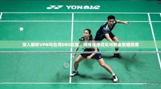 深入解析VPN与台湾DNS配置，网络连接优化与安全策略指南