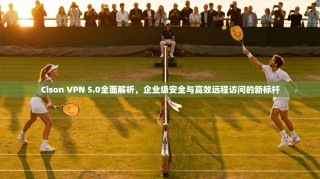 Cison VPN 5.0全面解析，企业级安全与高效远程访问的新标杆