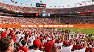 警惕VPN风险，网络自由背后的隐忧与防护策略