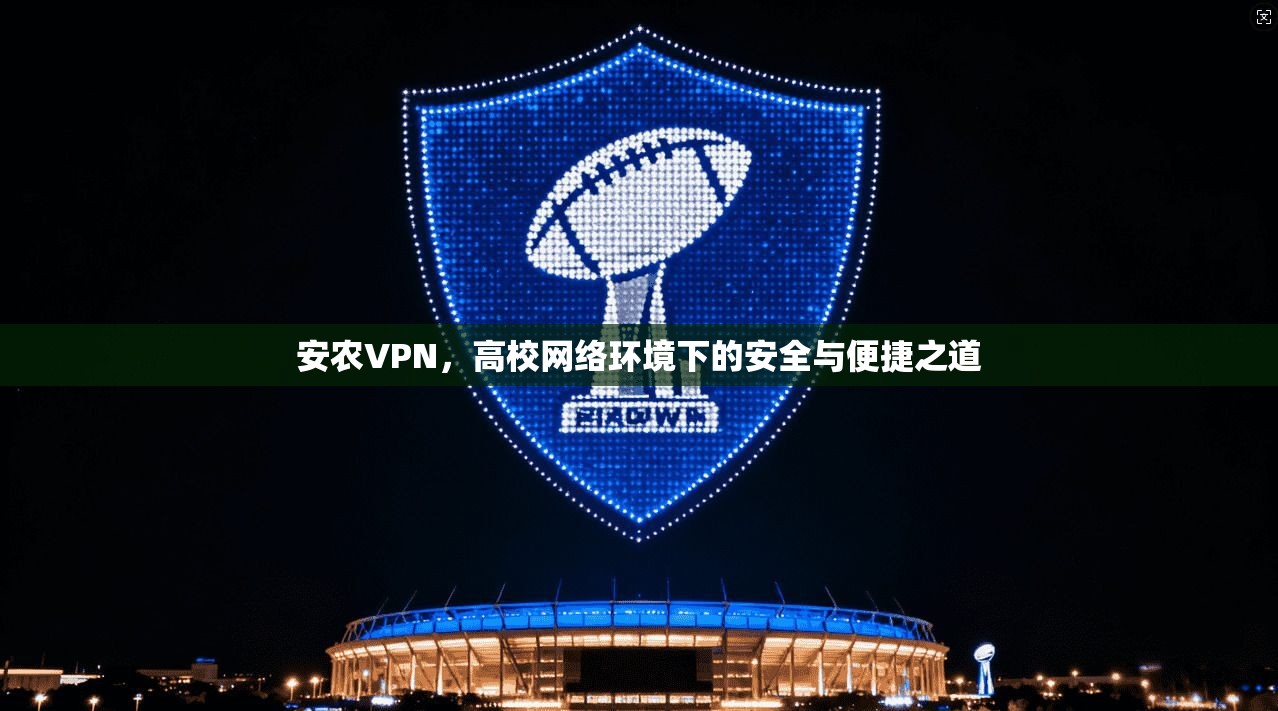 安农VPN，高校网络环境下的安全与便捷之道