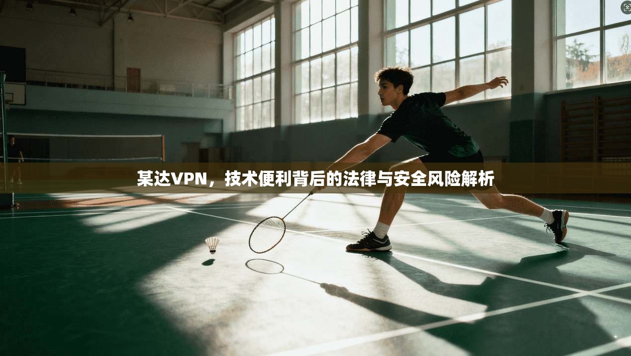 某达VPN，技术便利背后的法律与安全风险解析