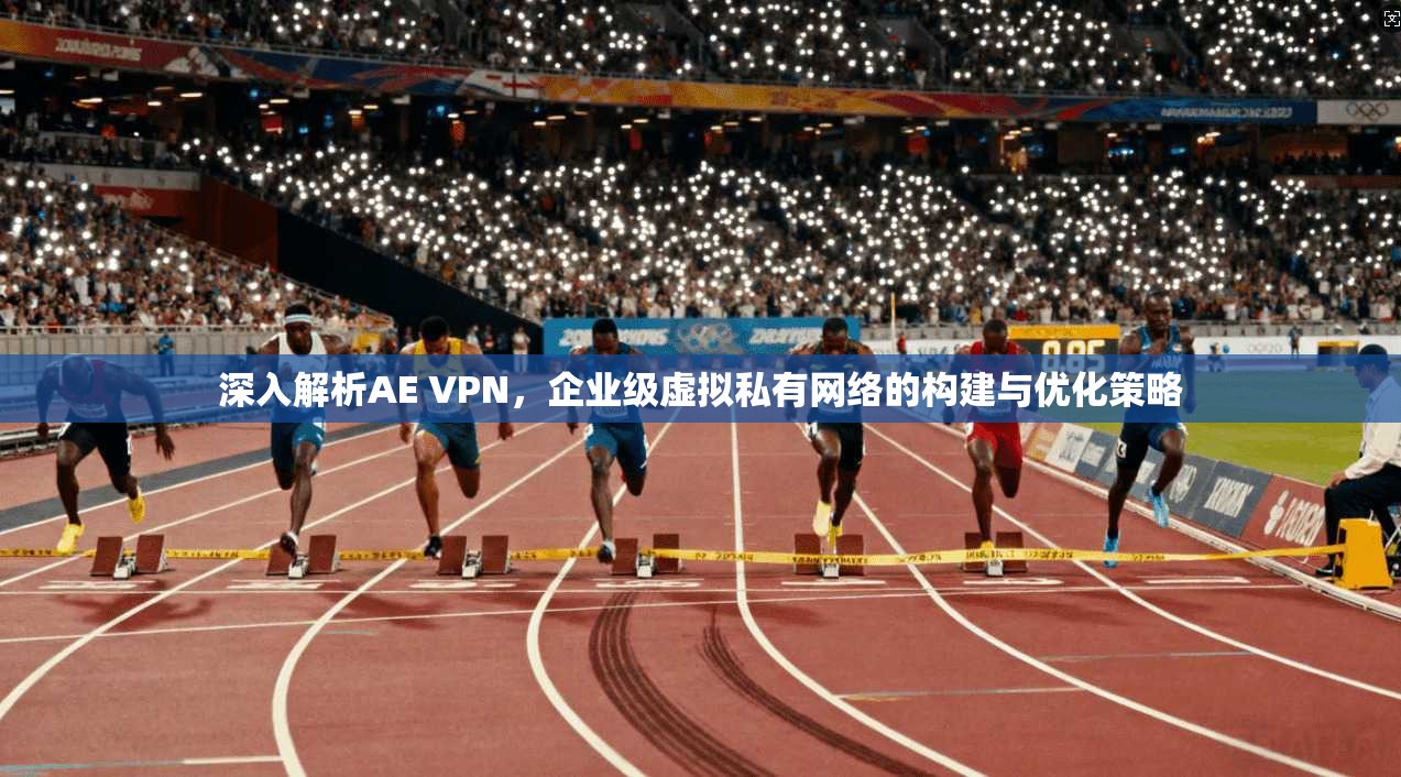 深入解析AE VPN，企业级虚拟私有网络的构建与优化策略