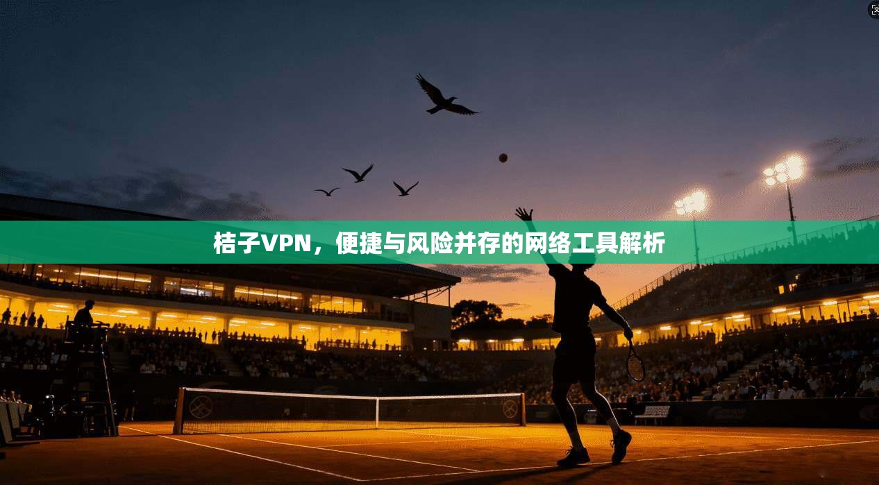 桔子VPN，便捷与风险并存的网络工具解析