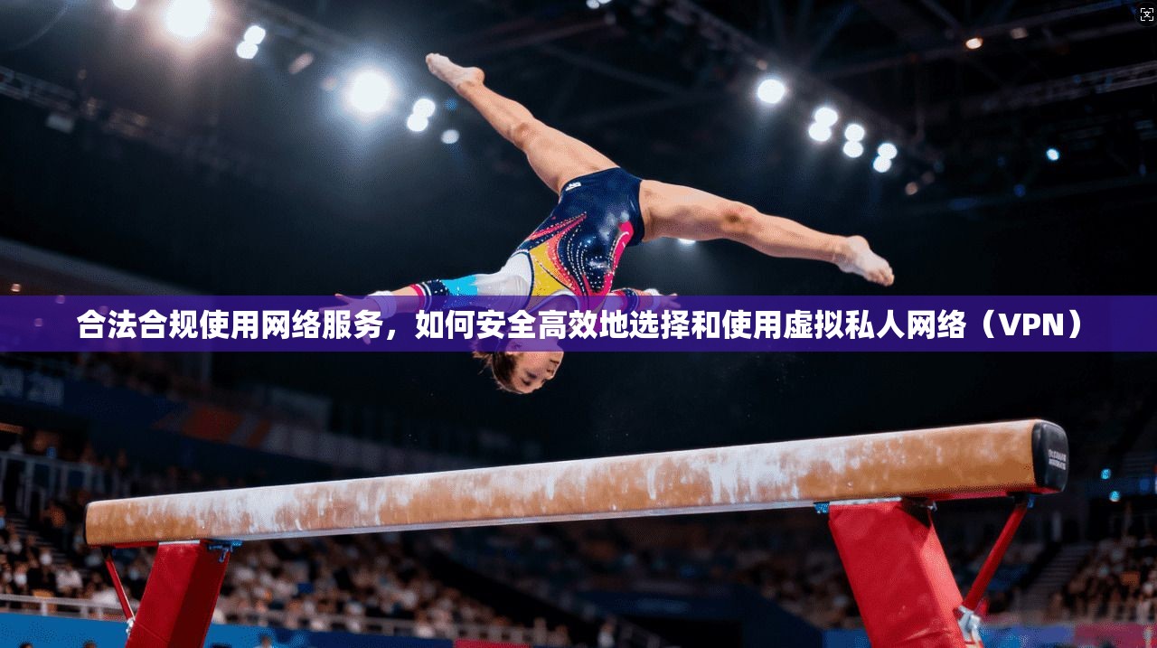 合法合规使用网络服务，如何安全高效地选择和使用虚拟私人网络（VPN）