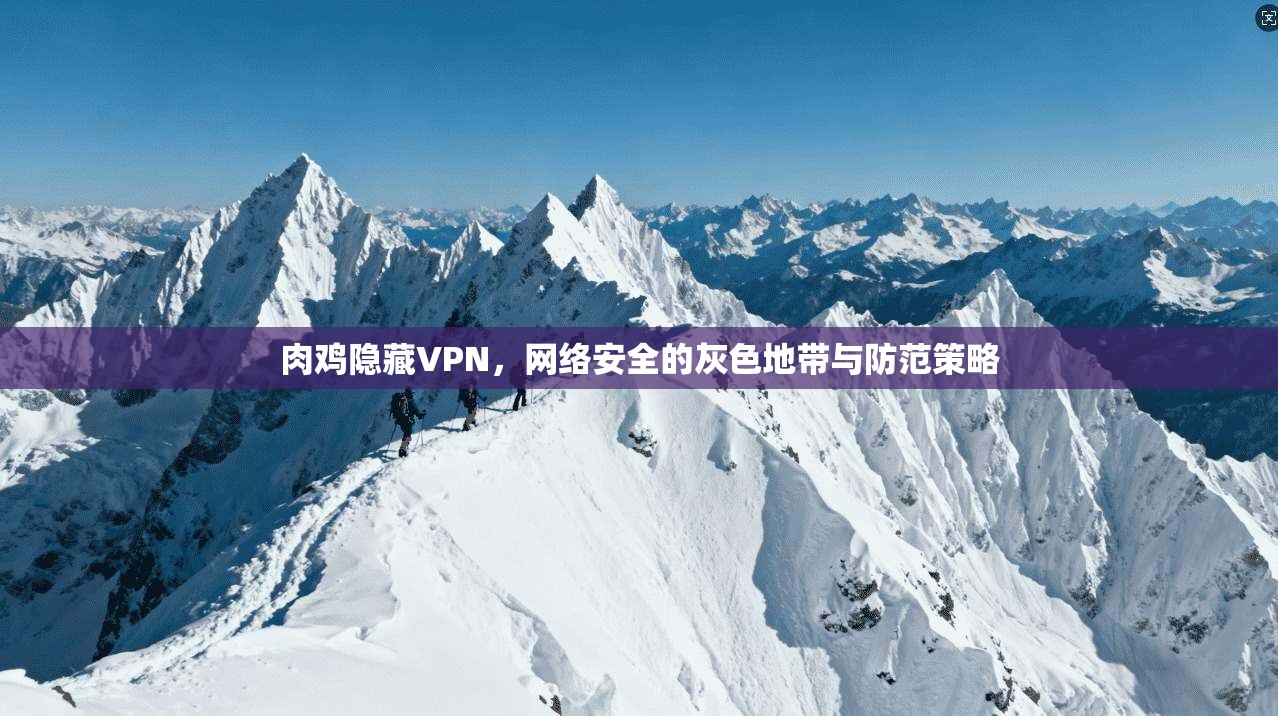 肉鸡隐藏VPN，网络安全的灰色地带与防范策略