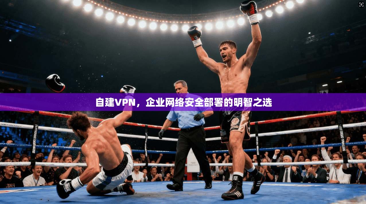 自建VPN，企业网络安全部署的明智之选  第1张