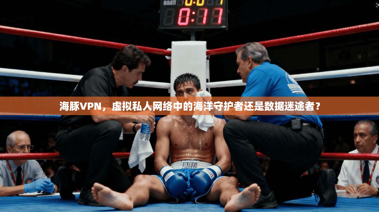 海豚VPN,虚拟私人网络中的海洋守护者还是数据迷途者? 第1张 海豚VPN,虚拟私人网络中的海洋守护者还是数据迷途者? 第1张