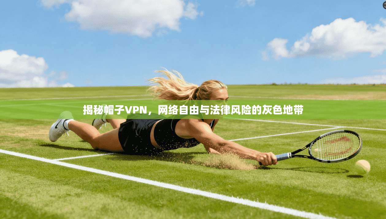 揭秘帽子VPN，网络自由与法律风险的灰色地带  第1张